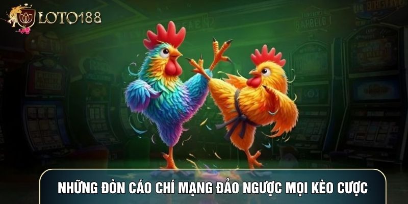 Những đòn cáo chí mạng đảo ngược mọi kèo cược Những đòn cáo chí mạng đảo ngược mọi kèo cược